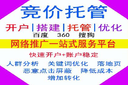 实战解析：SEM代运营成功案例分享